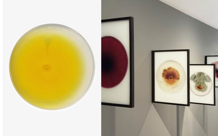 Une image contenant peinture, art
Le contenu g n r par l IA peut tre incorrect.